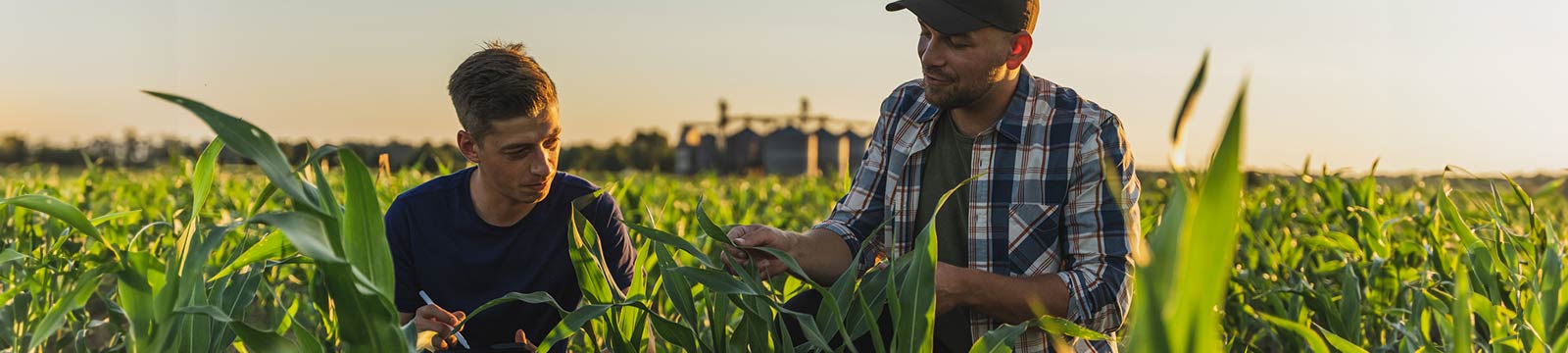 Parent and child looking at crops.